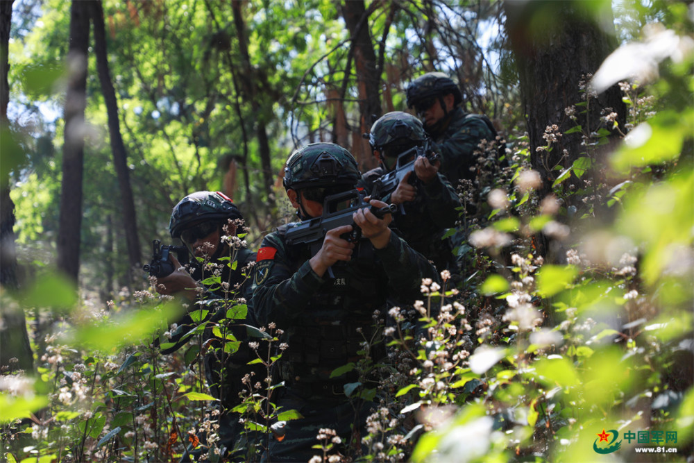 武警某支队特战中队开展捕歼战斗演练掠影打电话几个小时2023已更新(微博/知乎)