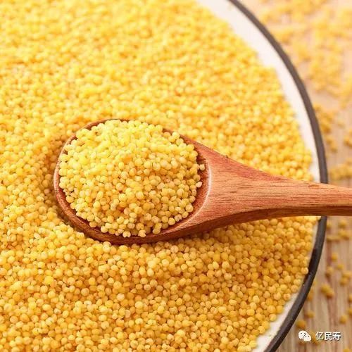粟米的养生的功效也是很强大的呢,可以有很好的健脾胃的作用,一起来看