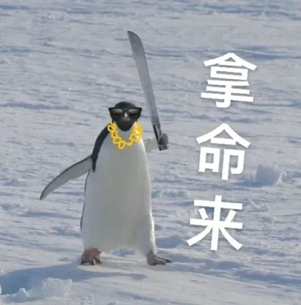 搞笑沙雕表情包:你表情包太多不想和你聊天_腾讯新闻