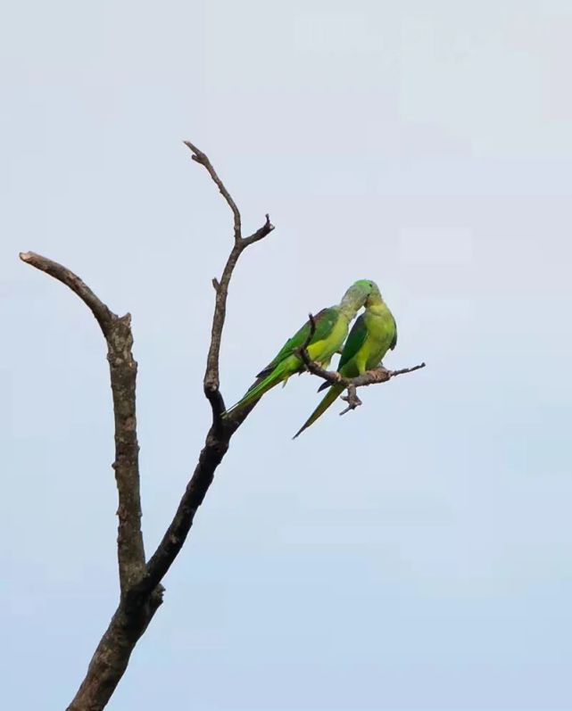沙永胜 摄德宏传媒集团全媒体记者 朱边勇 通讯员 尹以祜责编:刘芬 段
