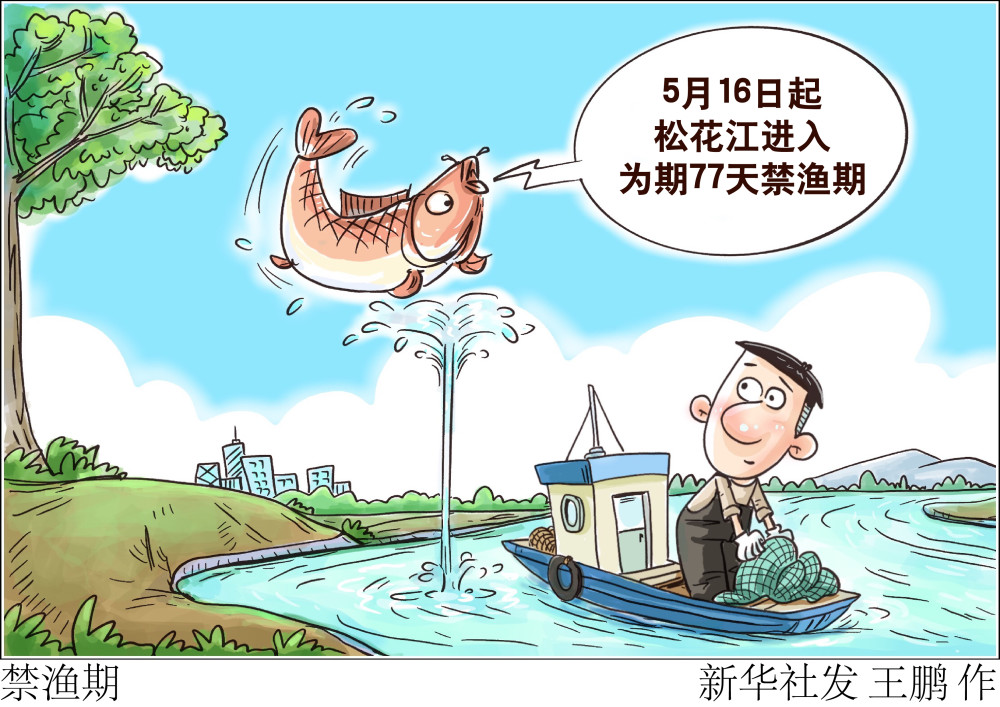 图表漫画环境禁渔期