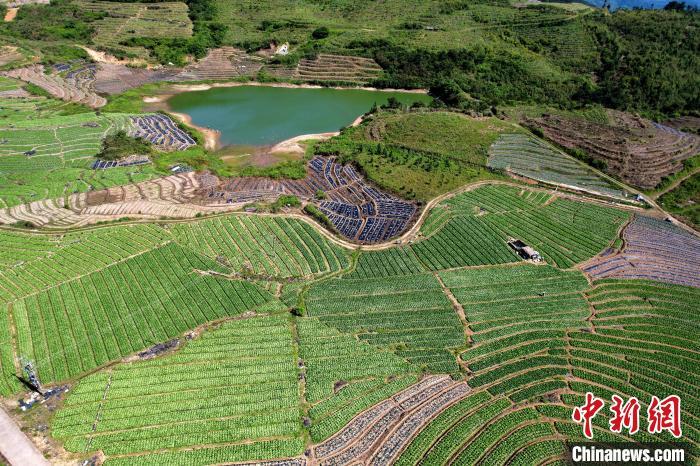 福建闽侯俯瞰蔬菜种植基地宛如大地调色板