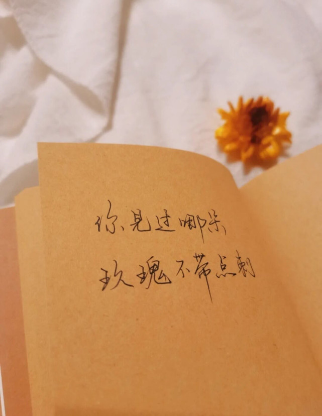 文案|温柔干净的高质量走心文案