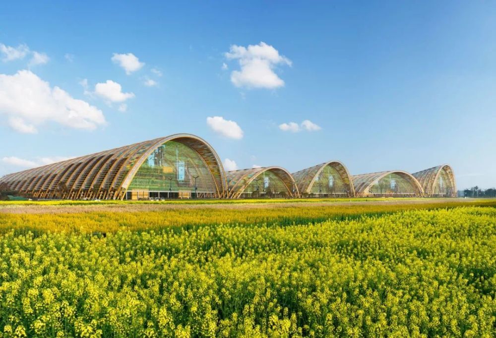 助力成都建设国际会展之都副市长林楠到新津调研中国天府农博园