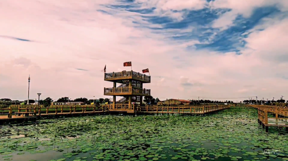 送岗稻站铸梦乡村津南区小站镇新农行业专场直播带岗活动