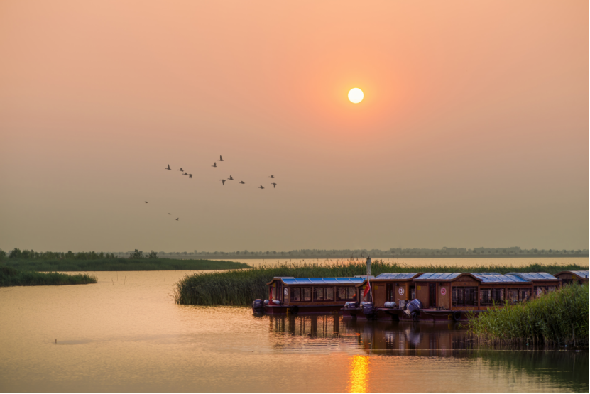 聆听自然的声音衡水湖引来鸟儿舞翩跹