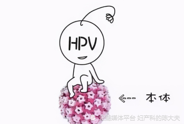 关于cini级(宫颈lsil)和hpv感染