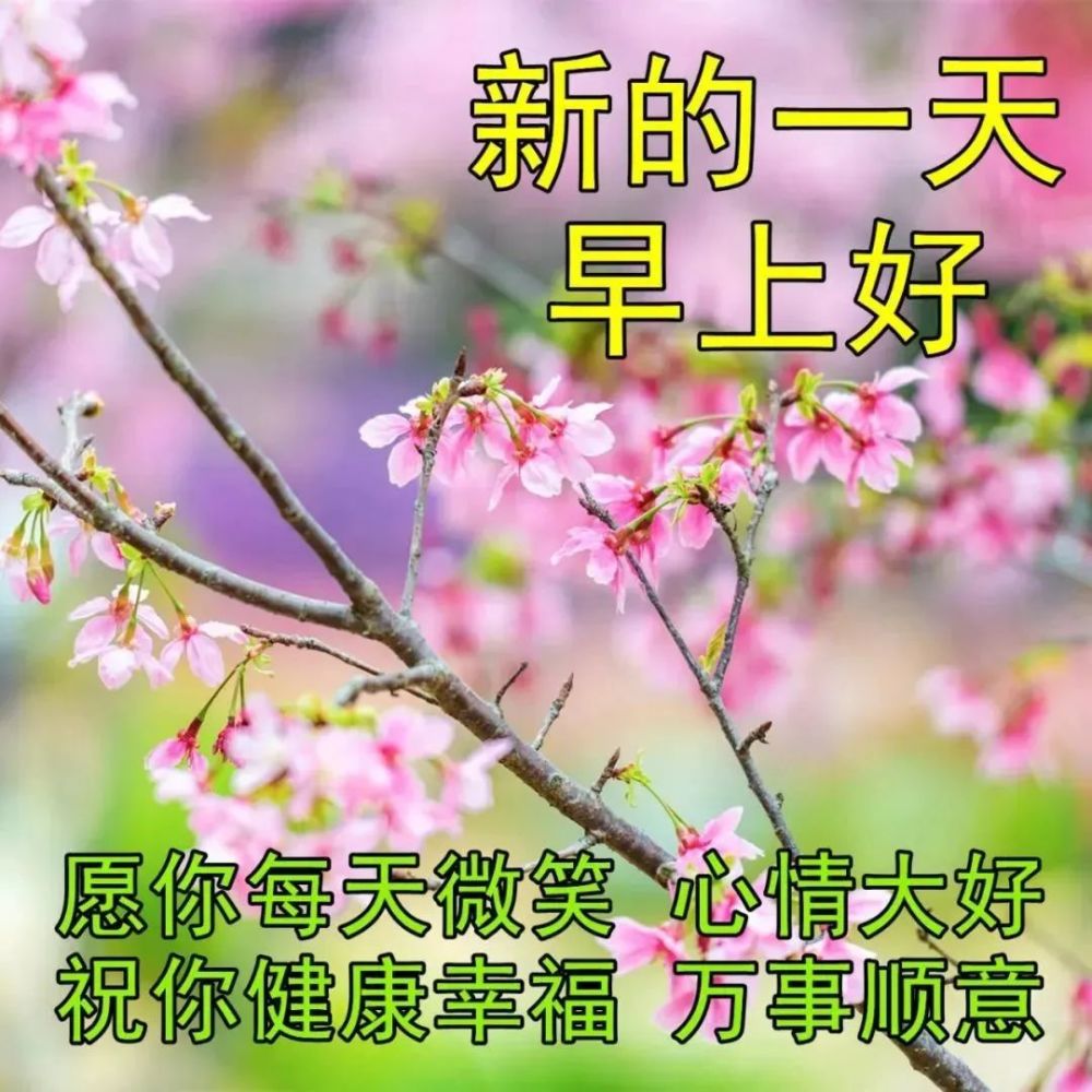 5月18日群发清晨早上好问候祝福动态表情图片早安问候语及暖心的话