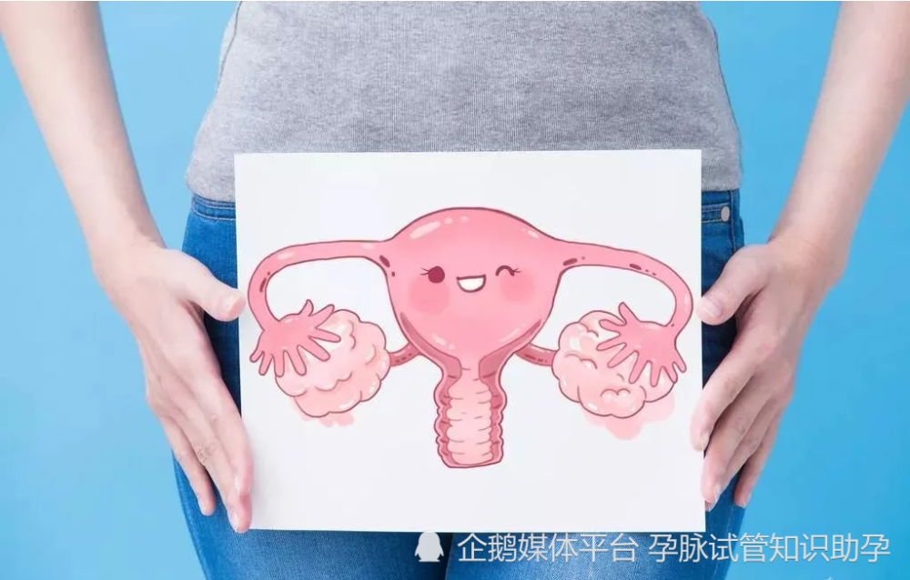 子宫类型限制试管婴儿实施：五种人群因子宫条件不符无法实现试管助孕
