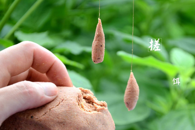 鱼饵的效果不好,主要是开饵的原因,4个钓鱼开饵的注意事项