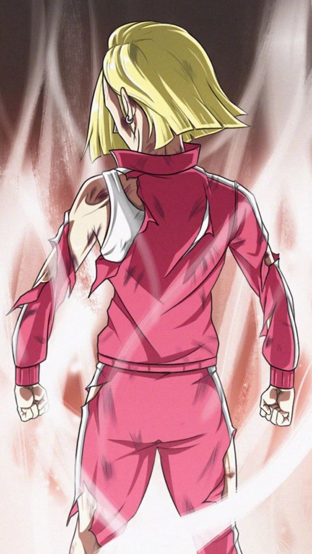 龙珠壁纸:女神18号,永远的信仰