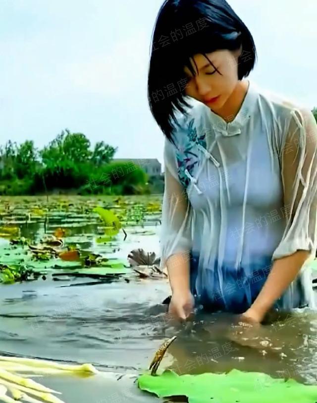 女生穿纱裙在水里采藕尖浑身湿透冻得打冷战这是艺高人胆大