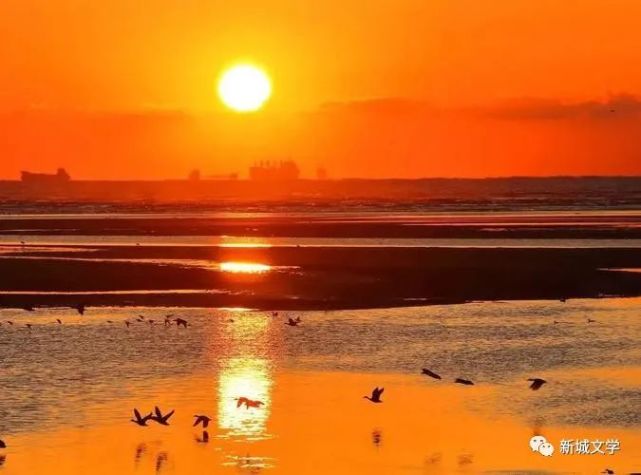 晨曦黄君照晨曦朝露晶莹亮,散入芳草翠绿叶.