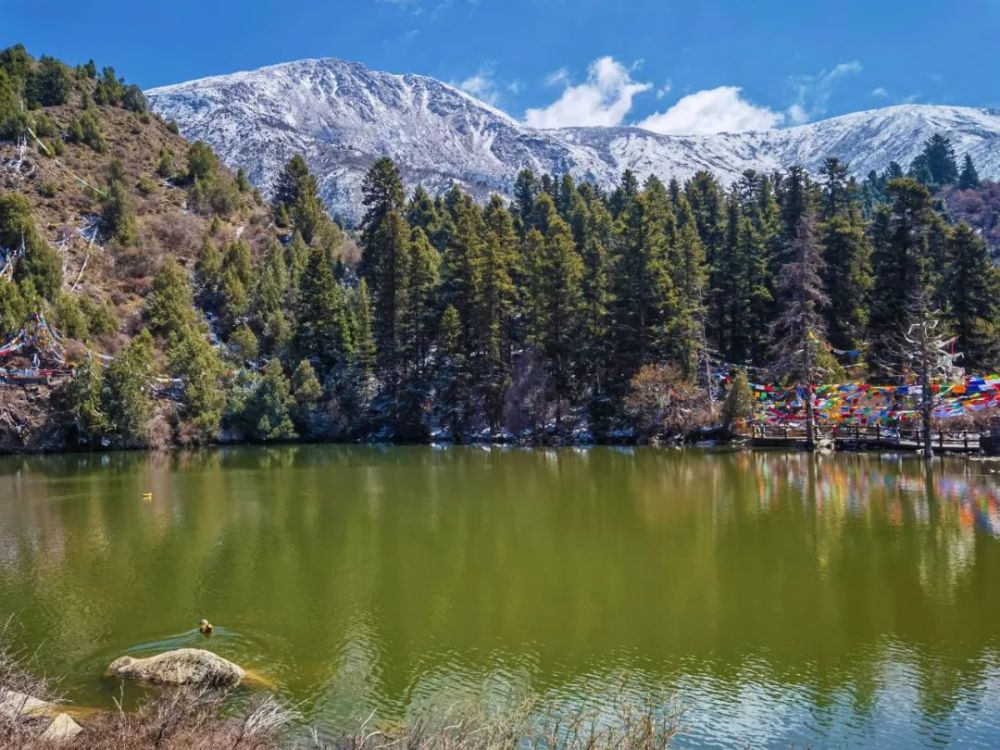 这里"三彩四绿"在风中彩色经幡的摇曳下达尔宗湖仿佛多了一丝魅力绿意