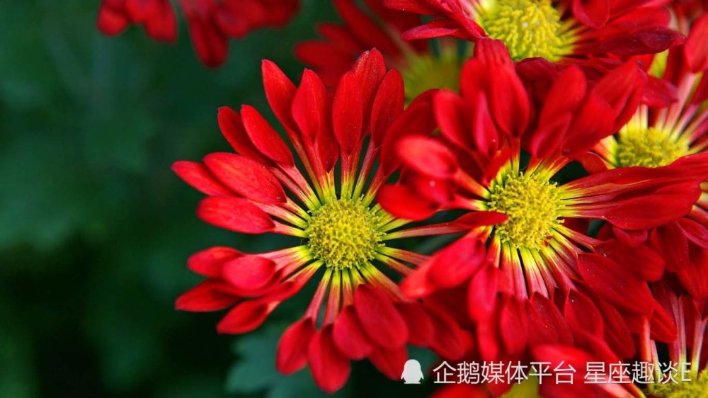 5月19日 25日爱情运势 相敬如宾 笑逐颜开的四大星座 腾讯新闻