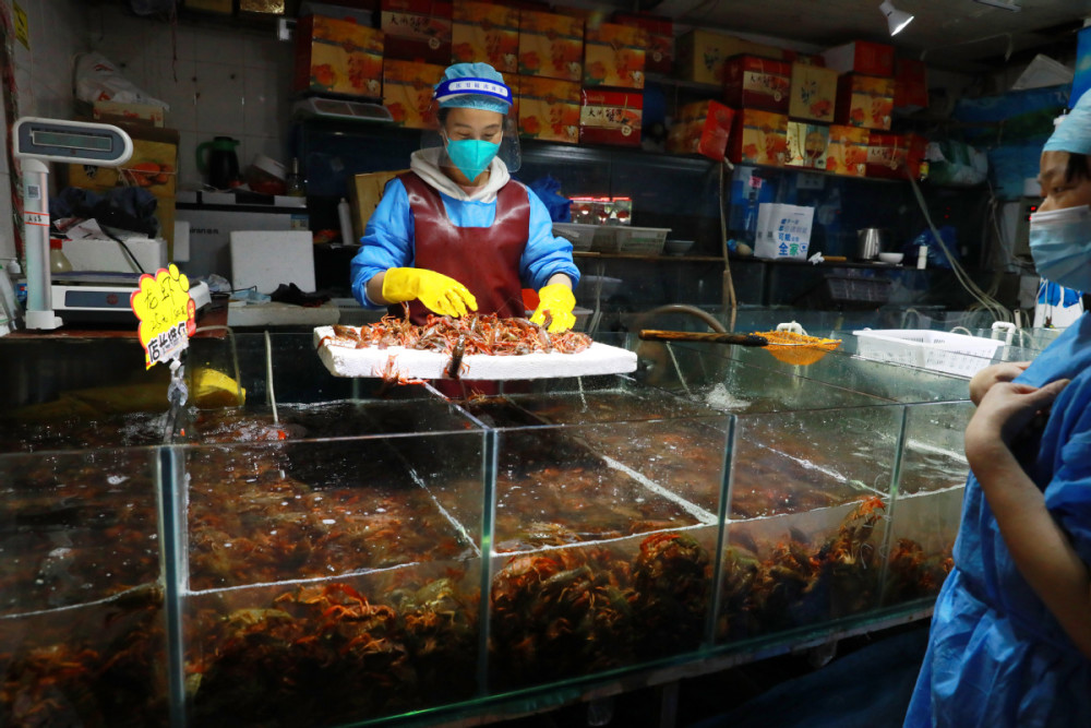 上海嘉定：农贸市场逐渐恢复的“烟火味”快车教育