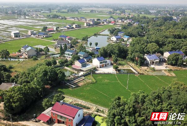 益阳这个氛围感拉满的乡村小镇安逸到让人不想回家