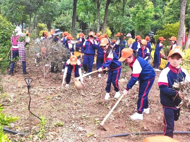 勞動教育實踐基地揭牌成立|嵩陽街道|山腳社區|嵩明縣|嵩陽|麥衝村