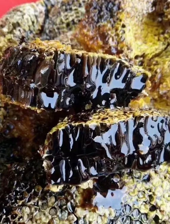 黑蜂蜜|我有秘"蜜",邀你来喝!