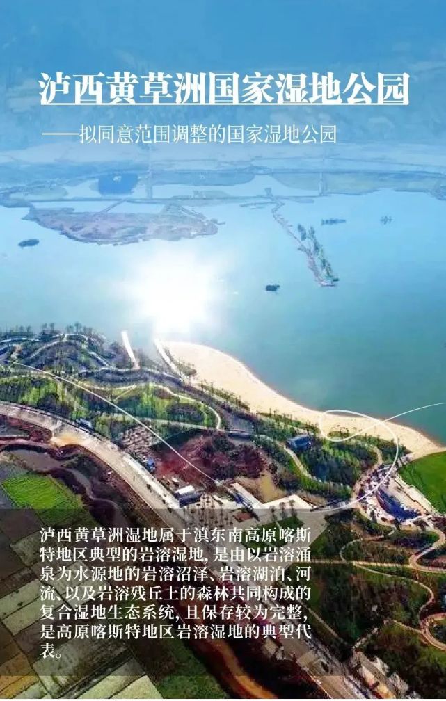 美景|泸西黄草洲国家湿地公园晋升国家级,来看看到底有多美