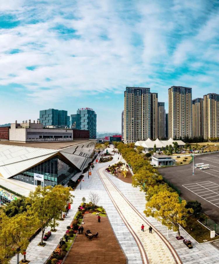 打造国际化商务中心寸滩国际新城保税经济区发布商业投资机会