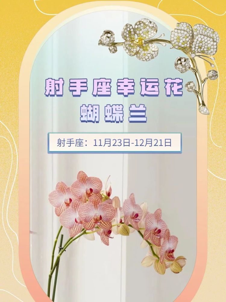 十二星座代表花及花语(十二星座代表花及花语图片)