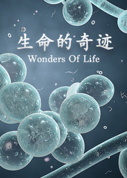 生命的奇迹,你相信昏迷半年后的孩子最后还能考上大学吗?