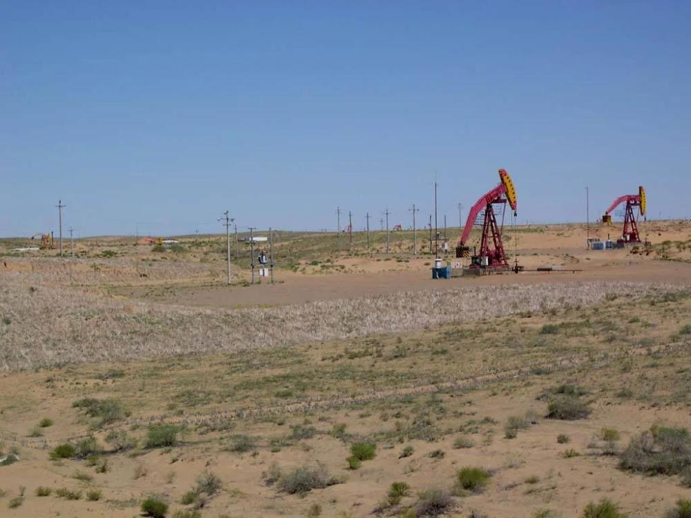 1987年 老兵误闯戈壁滩 50发子弹与狼群对抗8天 最终结局如何 腾讯新闻