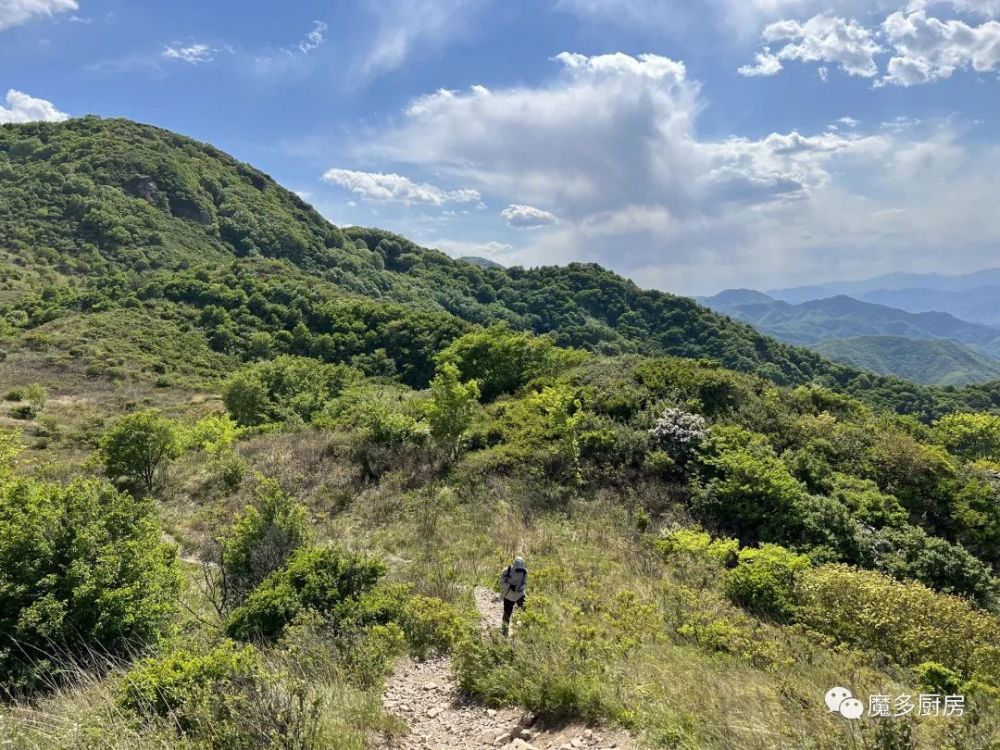 露营热、智能电器“潮”这些你都消费了吗？