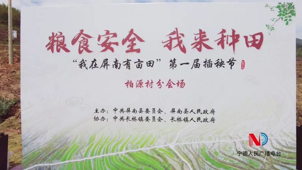 水稻种植：现代农业的新篇章