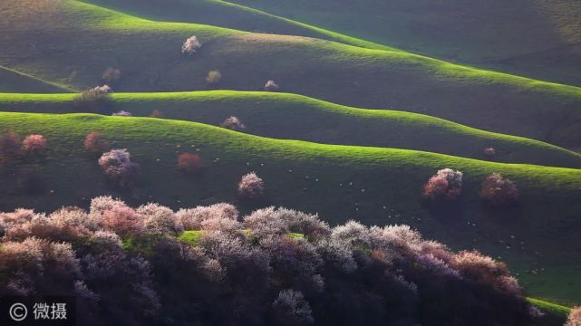 四季伊犁春有百花秋有月夏有涼風冬有雪