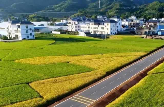 要如何促进农村三产融合发展路径应怎么选择有什么政策建议