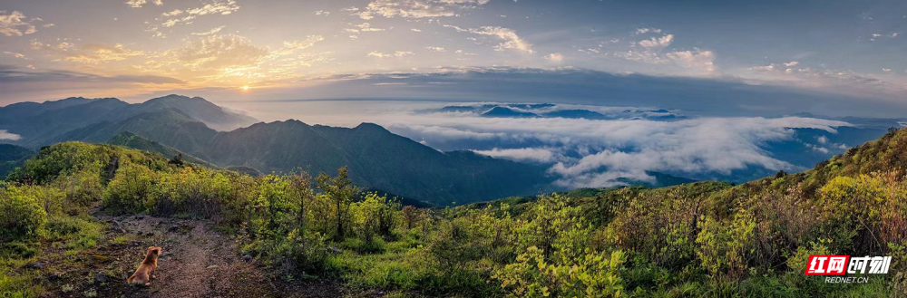 中国旅游日:一起领略罗霄山脉的自然美景
