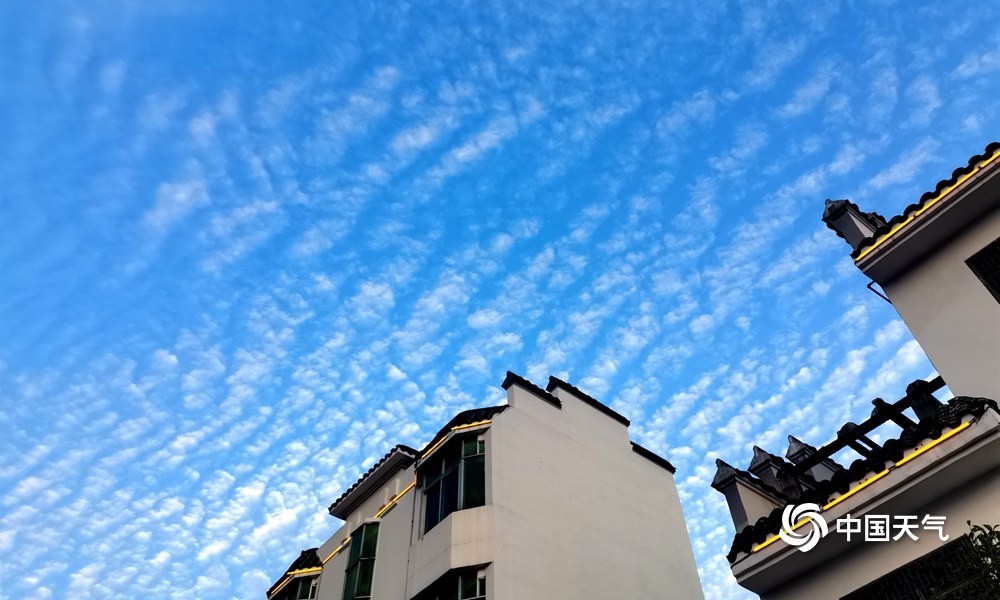 江西遂川天氣晴朗天空現魚鱗雲十分壯觀