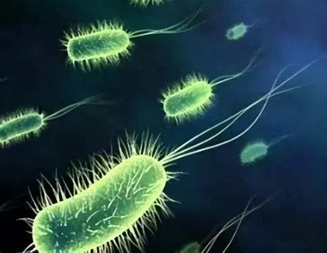 医生:海洋弧菌感染,致死率高