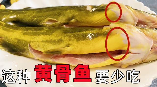 才知道,吃黄骨鱼还有这么多讲究,很多人一直不懂,快瞧瞧