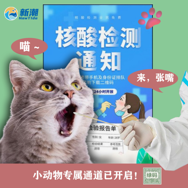 创意|听说人类要给动物做核酸(多图!