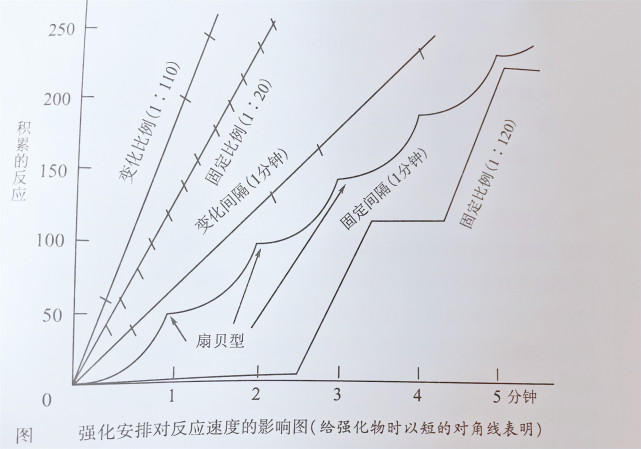其实是没弄懂"扇贝效应"