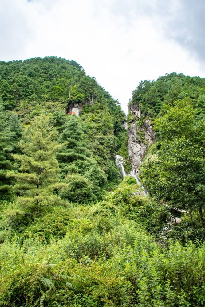 空氣中瀰漫著青草的香味,溪水潺潺流動,好一幅催人醉的山中歲月圖景