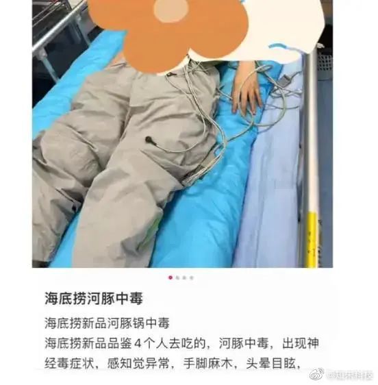 顾客称在海底捞吃河豚中毒市监局介入