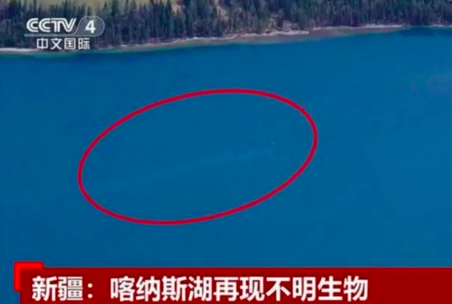 水怪"的真相其实那是在捕食的大红鱼影子而已公开资料显示"喀纳斯"是