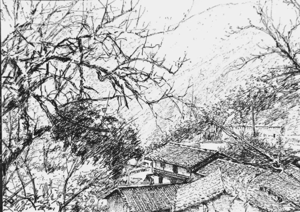 跟着钢笔画游城北梨花山岗金黄鹤