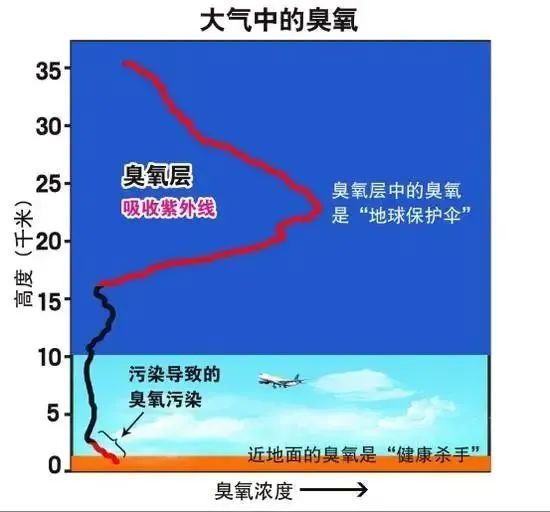 危害污染人体臭氧含量_污染物臭氧对人的害处_臭氧污染对人体的危害