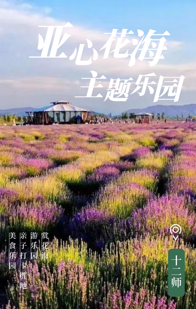 碰碰车……这个夏天想玩的必玩的游乐项目在亚心花海主题乐园通通可以