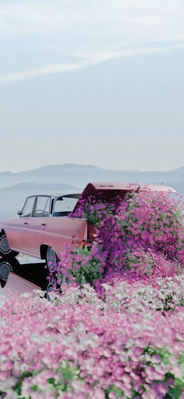 壁纸|微信高级聊天背景图