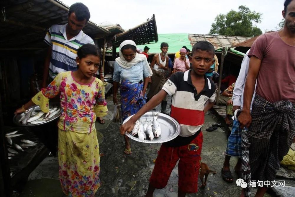 缅甸难民仍在苦苦挣扎！房子被毁，还面临食物短缺的困境！