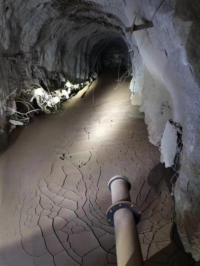 该公司以采选金铜矿石为主的矿山企业,由于矿区位于大冶湖围垦区下