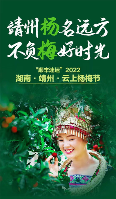 靖州杨梅节2021图片