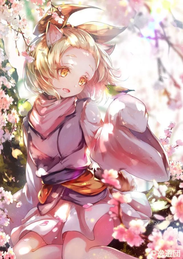 游戏王壁纸精选丨第1期