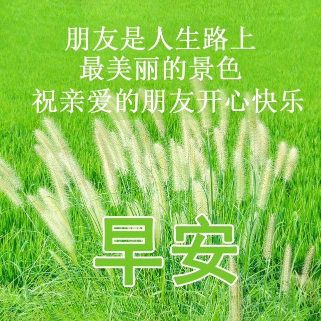 朋友,短信祝你早上好,愿你微笑今天,快乐永远!早安!